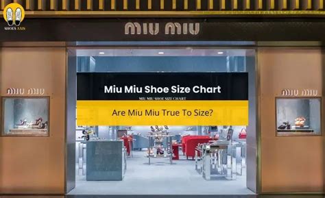 miu miu clothing size guide|miu michu shoes.